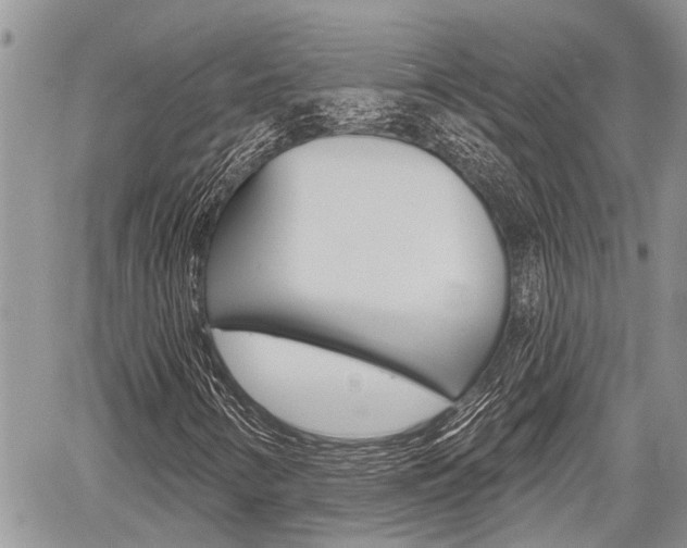 X0000059841346200510210947