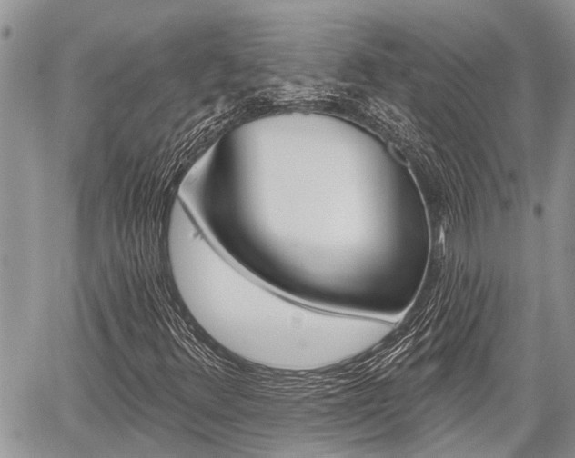 X0000059841348200510210947