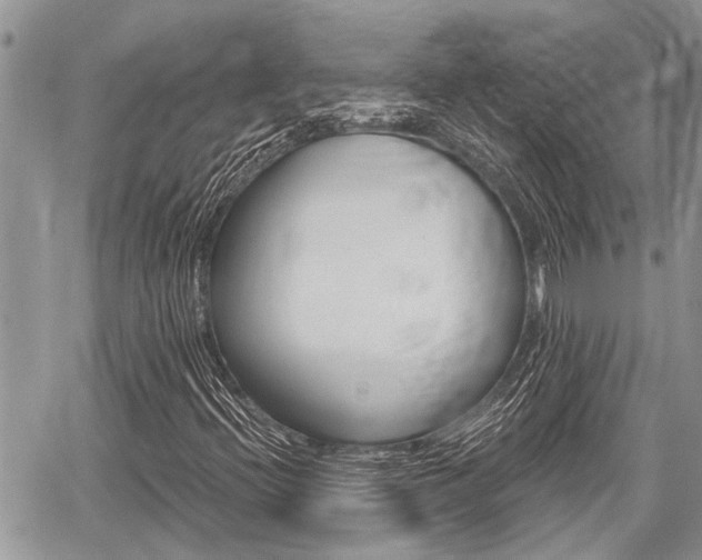 X0000059841396200510210945