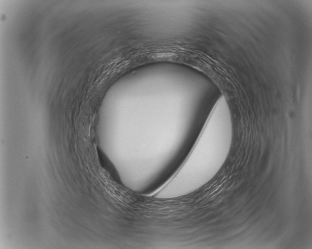 X0000059841441200510210945