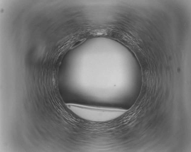 X0000059841442200510210945