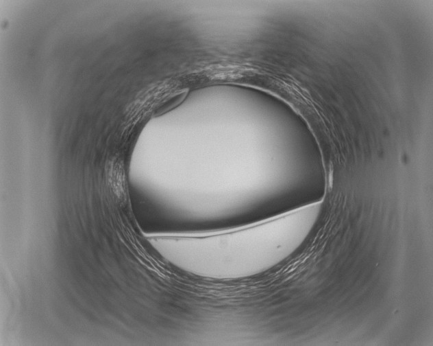 X0000059841444200510210945
