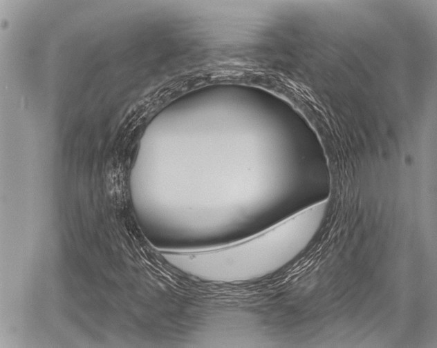 X0000059841445200510210945