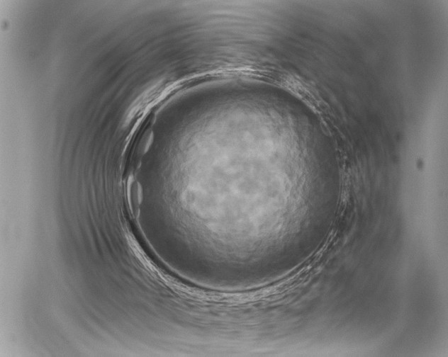 X0000059840002200510211159