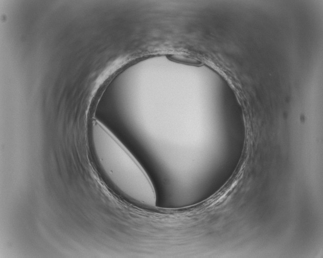 X0000059840008200510211159