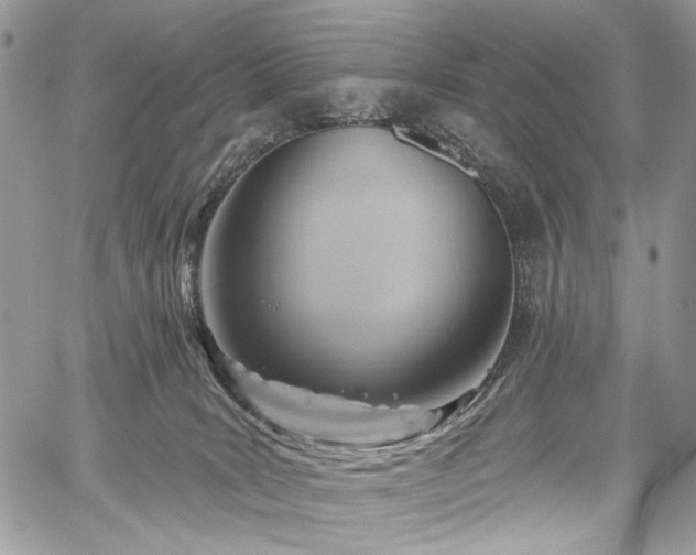 X0000059840035200510211159