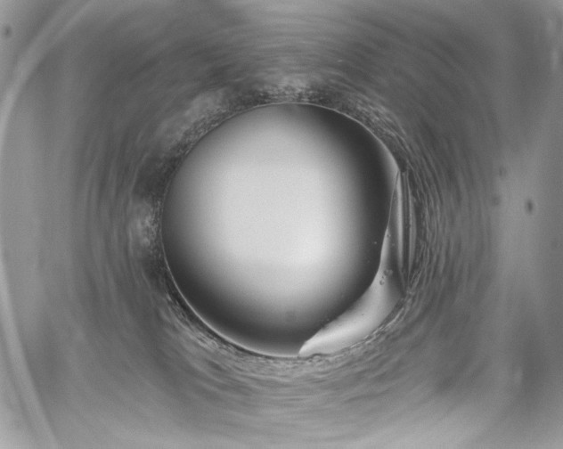 X0000059840037200510211159