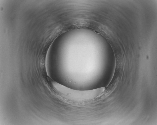 X0000059840040200510211159
