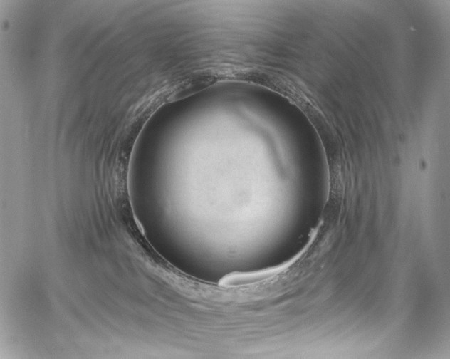 X0000059840043200510211159