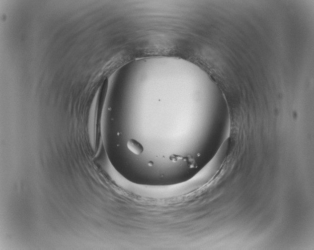 X0000059840045200510211158