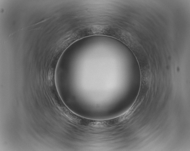X0000059840082200510211158