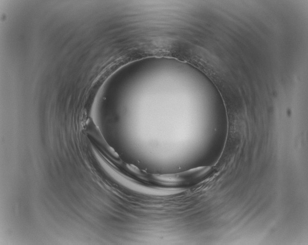 X0000059840084200510211158