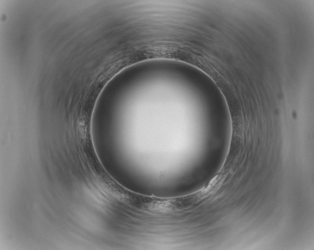 X0000059840086200510211158
