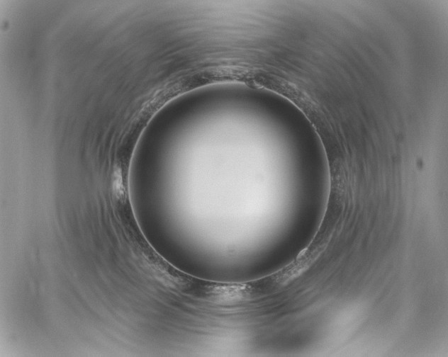 X0000059840089200510211158