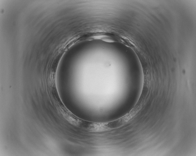 X0000059840093200510211158