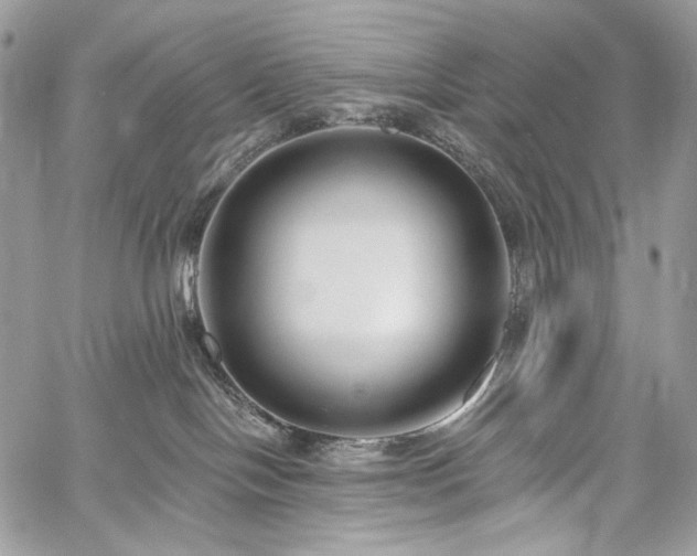 X0000059840094200510211158