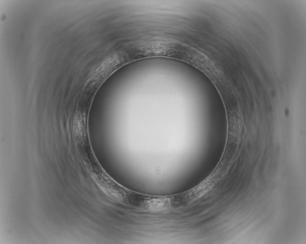 X0000059840126200510211157