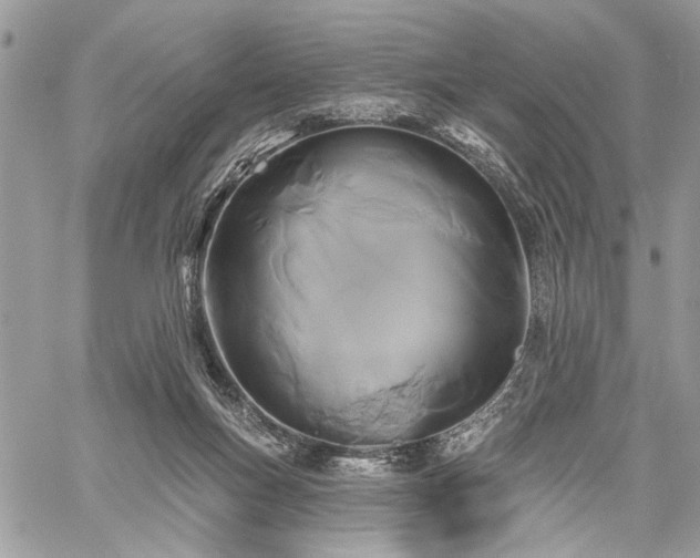 X0000059840167200510211156