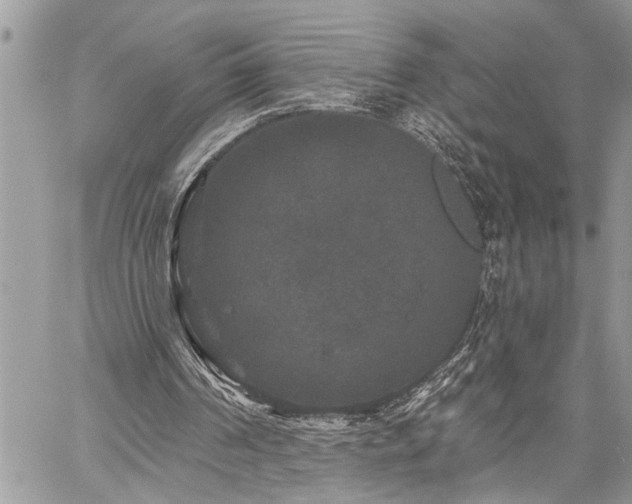X0000059840194200510211156