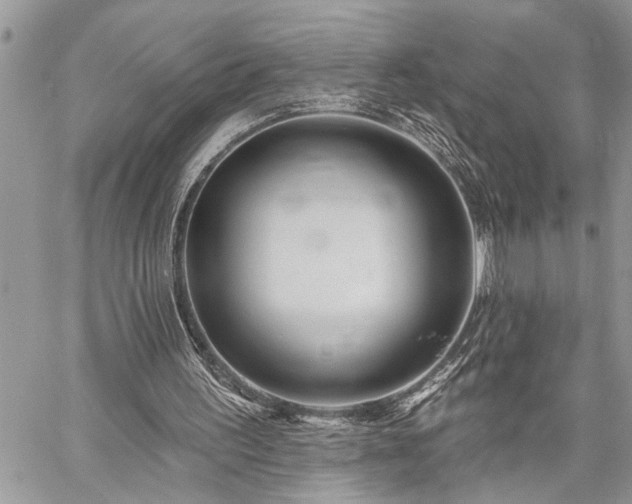 X0000059840195200510211156