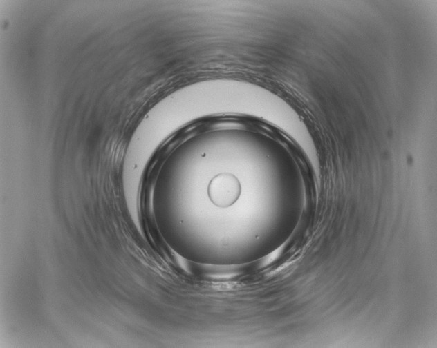 X0000059840233200510211155