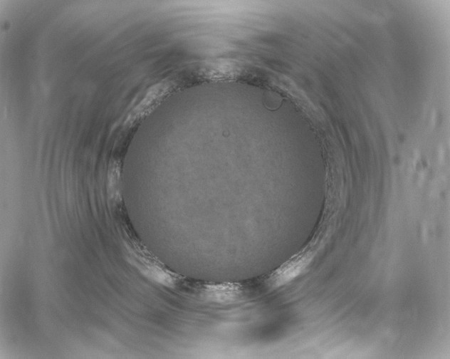 X0000059840240200510211155