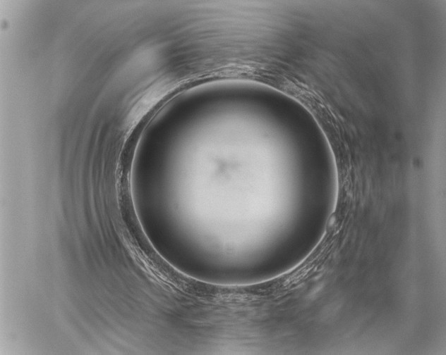 X0000059840242200510211154