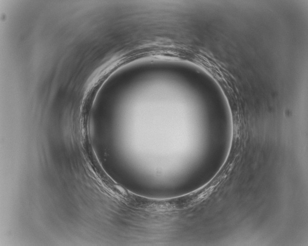 X0000059840245200510211155
