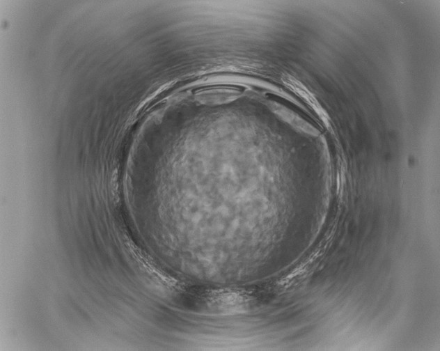 X0000059840249200510211155