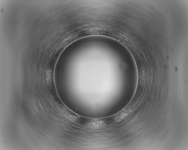 X0000059840278200510211155