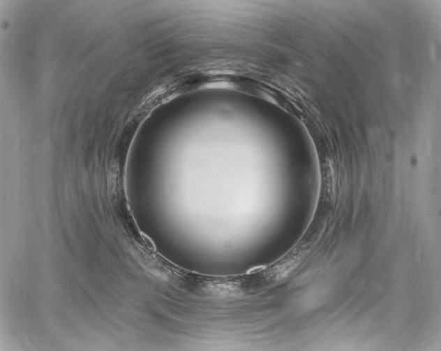X0000059840283200510211155