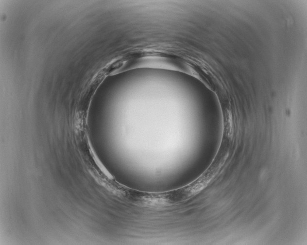 X0000059840284200510211155