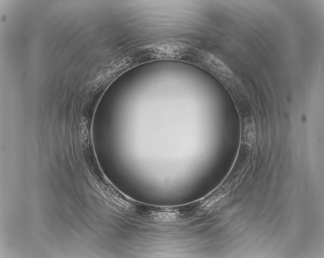 X0000059840318200510211154