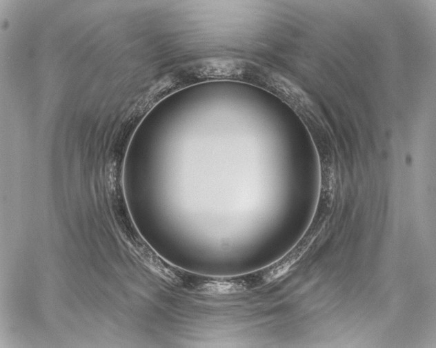 X0000059840326200510211154