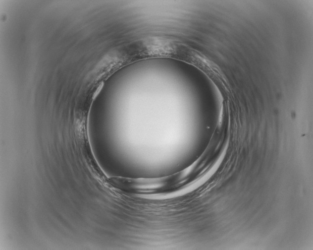 X0000059840329200510211154