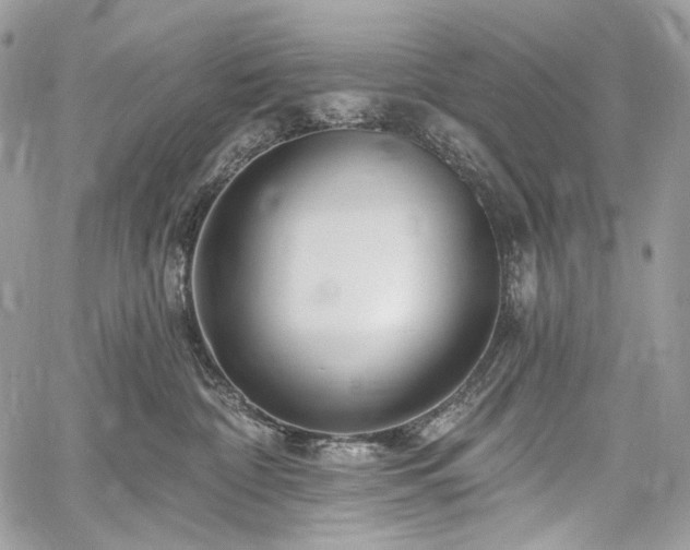 X0000059840332200510211154