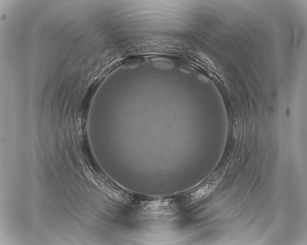 X0000059840366200510211153