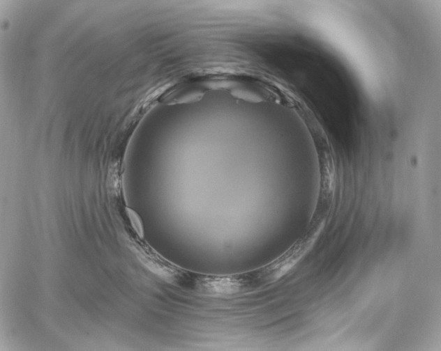 X0000059840383200510211154