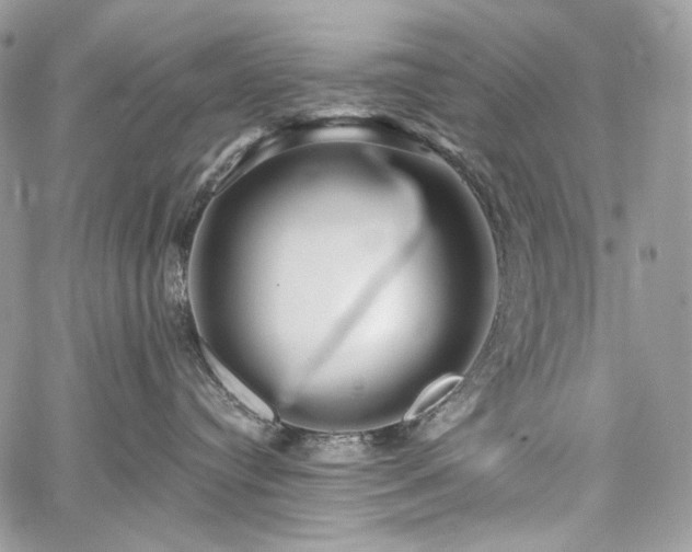 X0000059840384200510211154