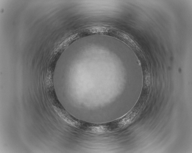 X0000059840411200510211152