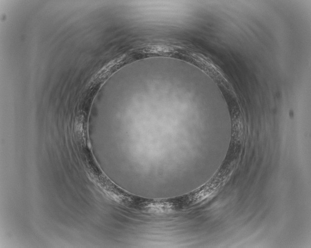 X0000059840415200510211152