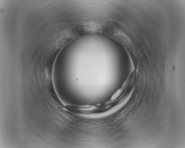 X0000059840420200510211152