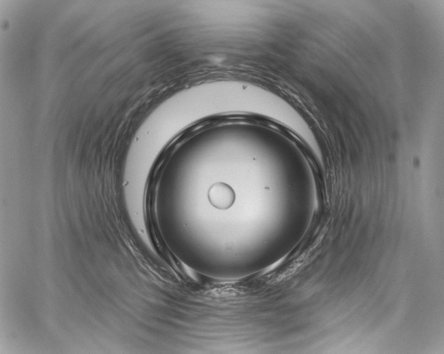 X0000059840423200510211152