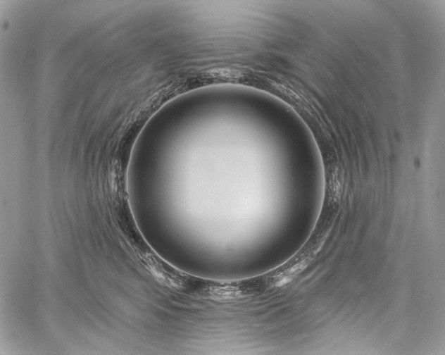 X0000059840424200510211152