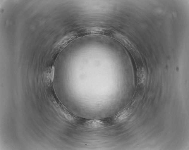 X0000059840427200510211152