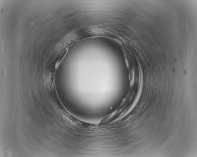 X0000059840428200510211152