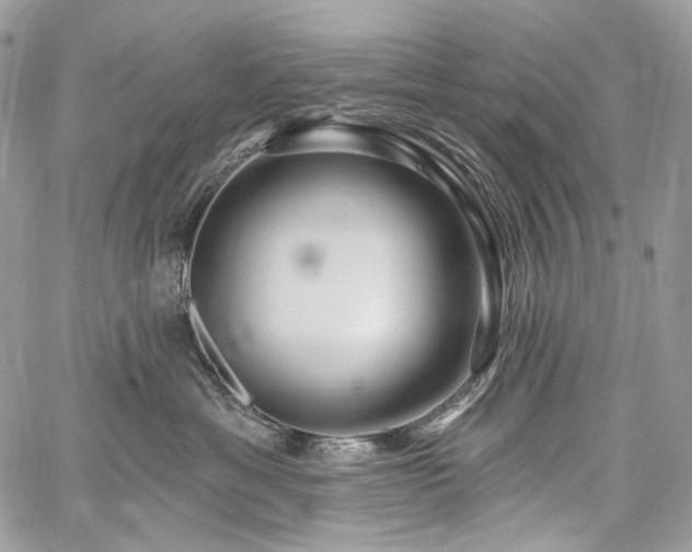 X0000059840429200510211152