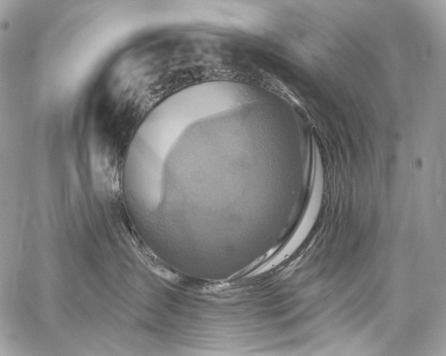 X0000059840431200510211152