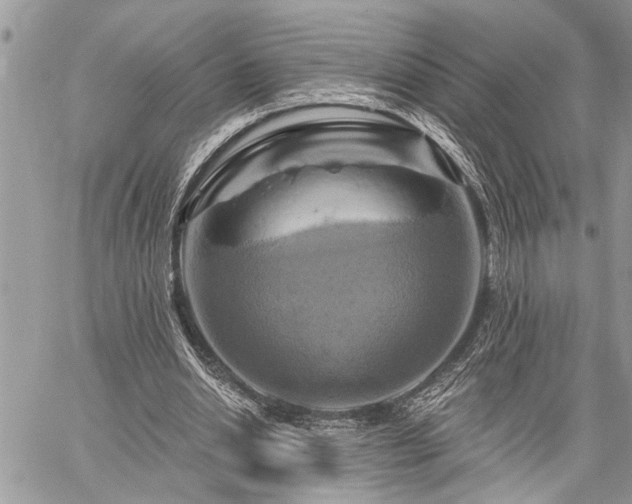X0000059840438200510211151