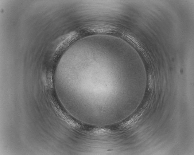 X0000059840453200510211152